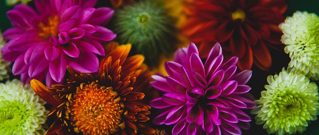 球迷：今天这队真的帅疯了